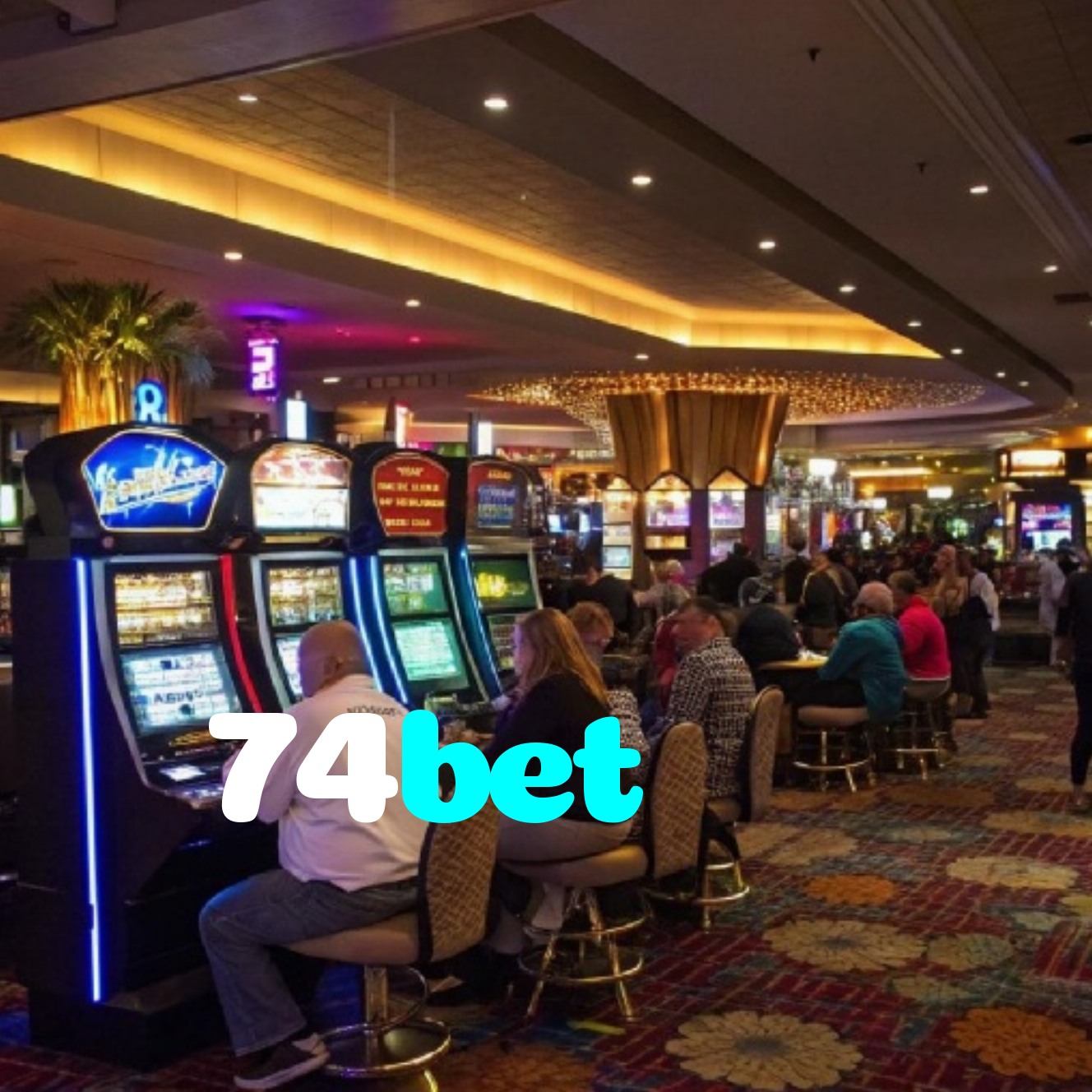 74bet
